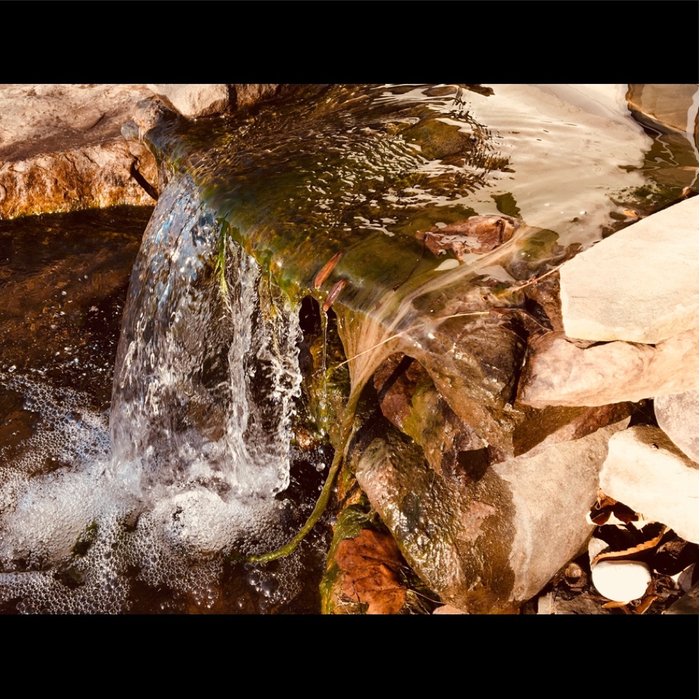 Meet your Posher, Riya